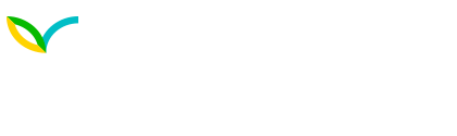 Obras Especiales